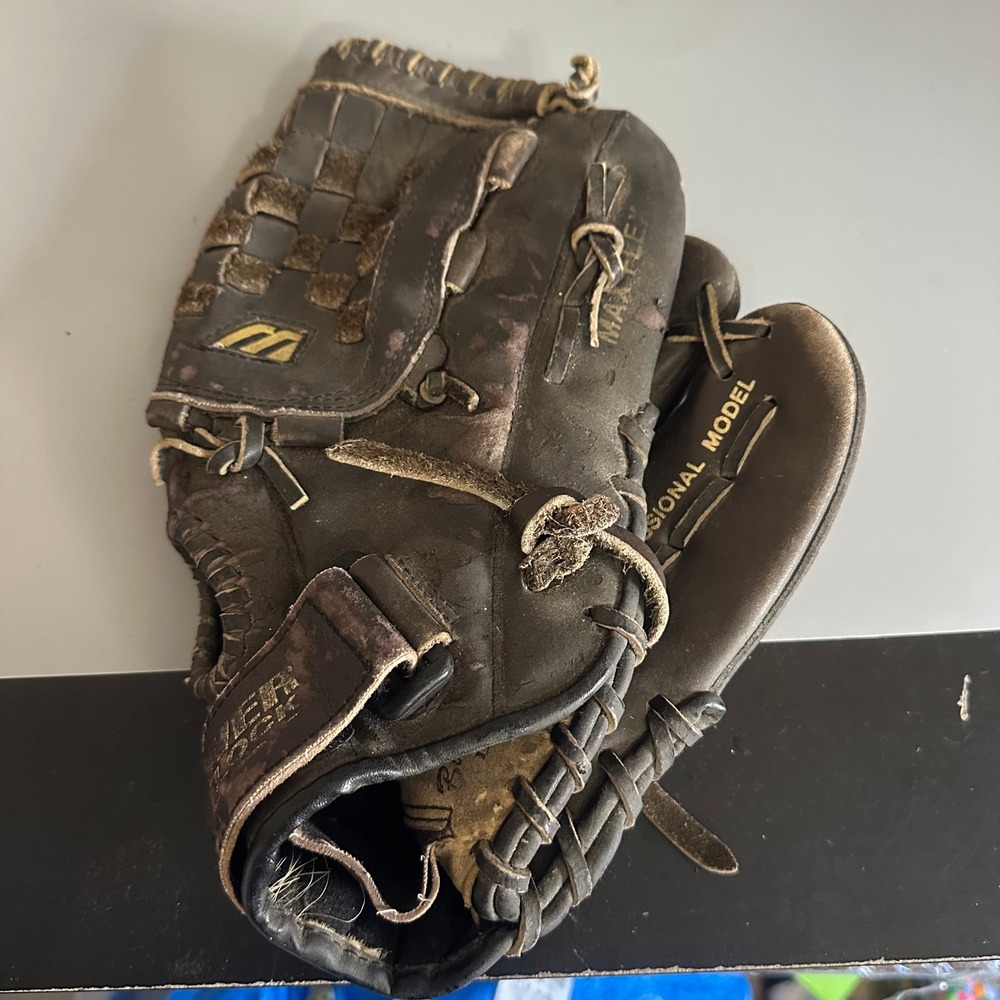 Mizuno Professional Model Baseball Glove Black US Steerhide Power Lock Max Flex